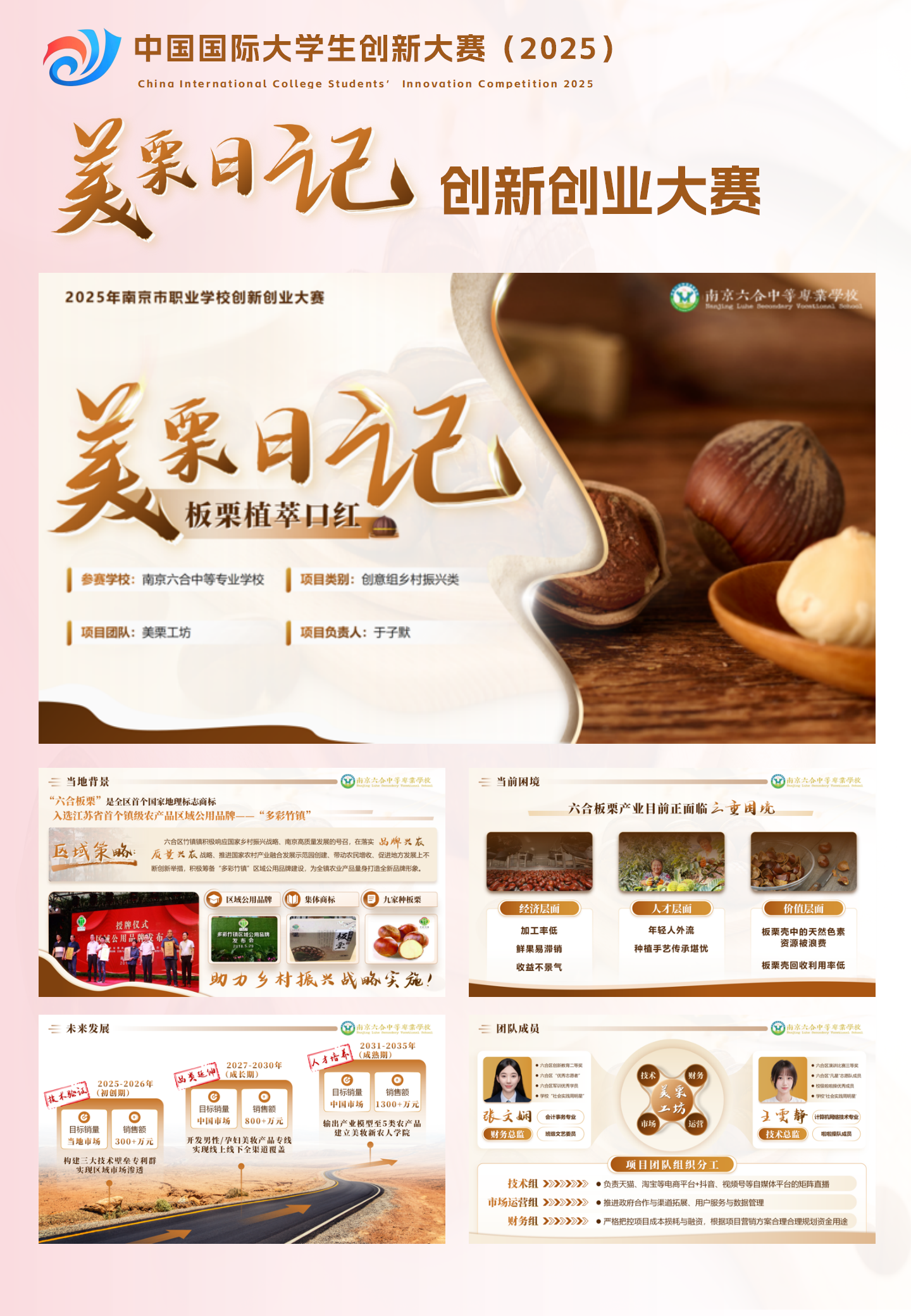 乡村振兴创业PPT：板栗植萃口红项目方案